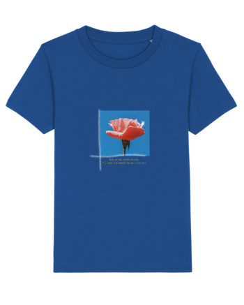 Pure Rose  Majorelle Blue