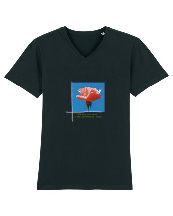 Pure Rose  Black