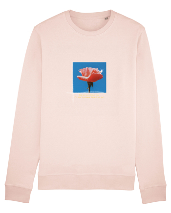 Pure Rose  Candy Pink