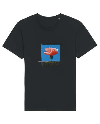 Pure Rose  Black