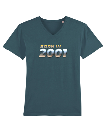 Born in 2001 Stargazer
