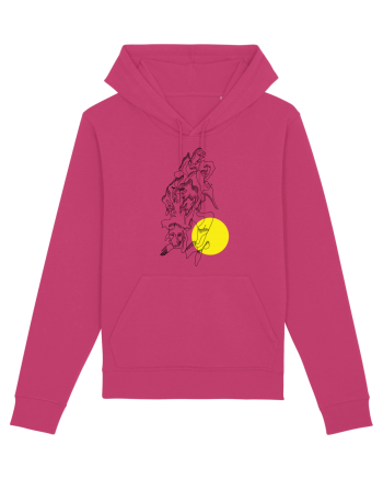 Soare Raspberry