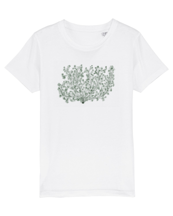 Natura Verde White
