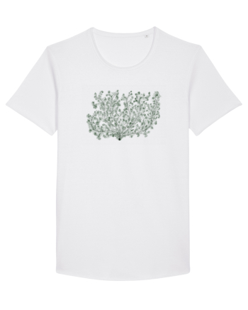 Natura Verde White