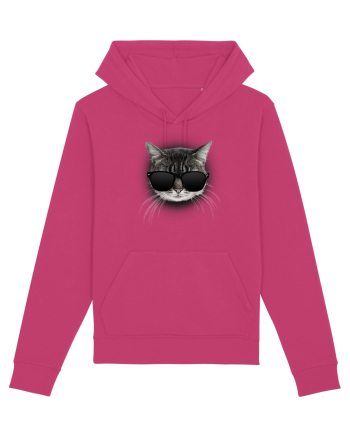 Gangsta cat Raspberry