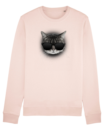 Gangsta cat Candy Pink