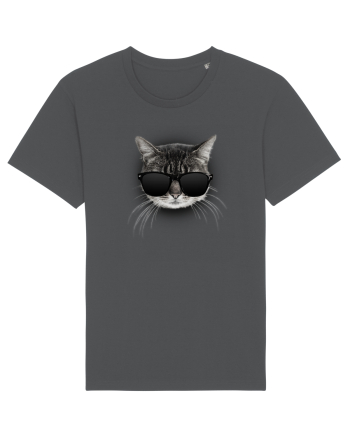 Gangsta cat Anthracite
