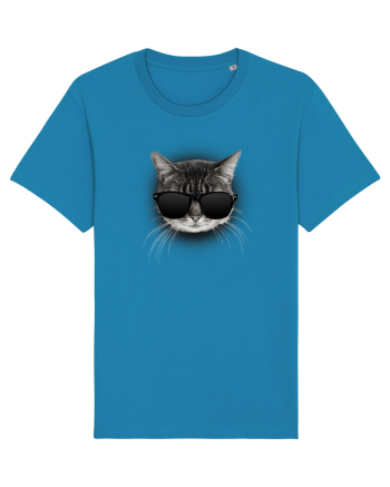 Gangsta cat Azur