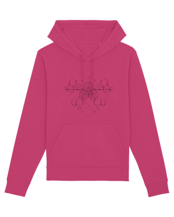 Elements Raspberry