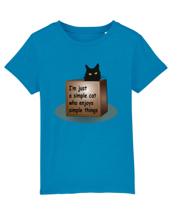 Box Cat Azur