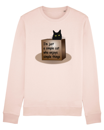 Box Cat Candy Pink