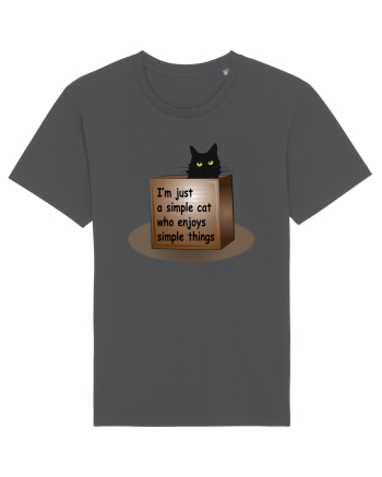 Box Cat Anthracite