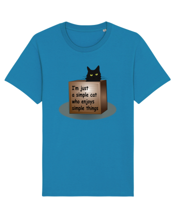 Box Cat Azur