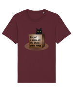 Box Cat Tricou mânecă scurtă Unisex Rocker