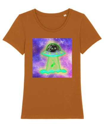 UFO CAT Roasted Orange
