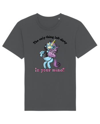 Unicorn  Anthracite