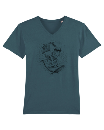 Marine Animals Stargazer