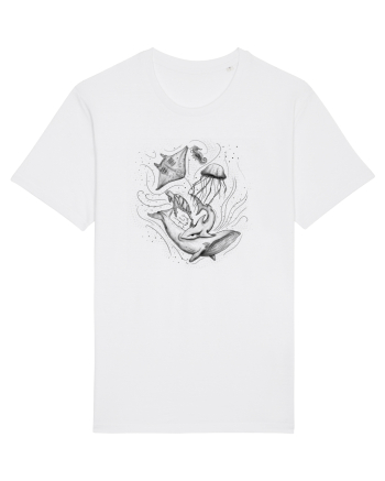 Marine Animals White