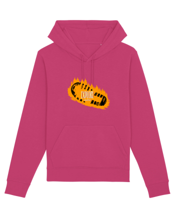 Bocancii de drumetie Raspberry