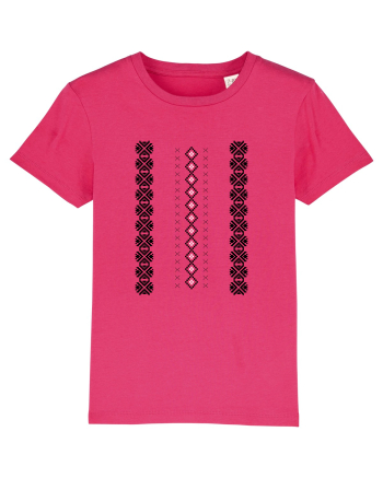 Traditional Raspberry