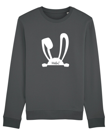 Rabbit Anthracite