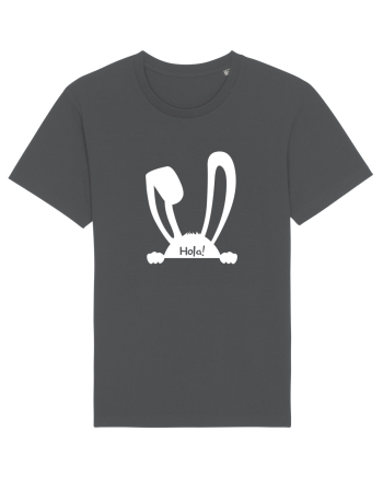 Rabbit Anthracite