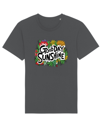Good Day Sunshine Anthracite