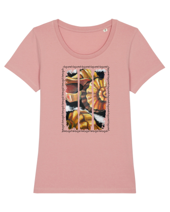 Pictura cu scoici  Canyon Pink
