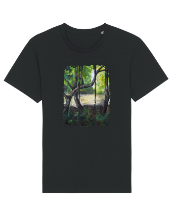 Peisaj din natura Black