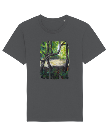 Peisaj din natura Anthracite