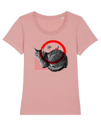 cat Canyon Pink