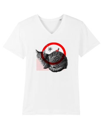cat White
