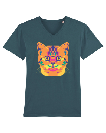 Laser Cat  Stargazer