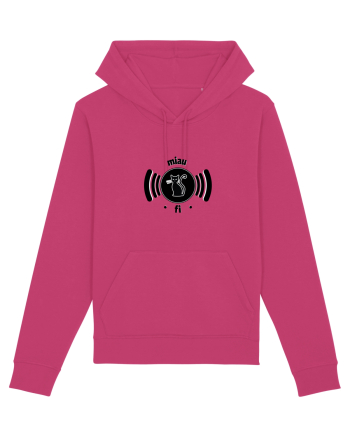 wi-fi black cat Raspberry