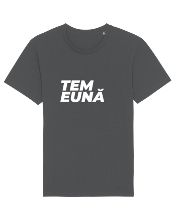 Suntem împreună Anthracite