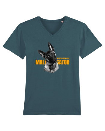 My best friend is a maligator Stargazer