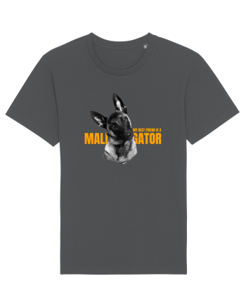 My best friend is a maligator Anthracite