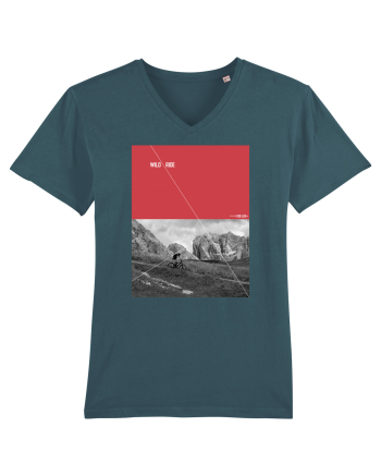 Wild Ride Stargazer