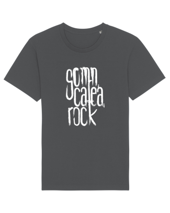 Somn, cafea, rock Anthracite