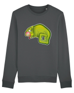 Chameleon bubble gum Bluză mânecă lungă Unisex Rise