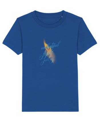 Unidentified flying feeling Majorelle Blue