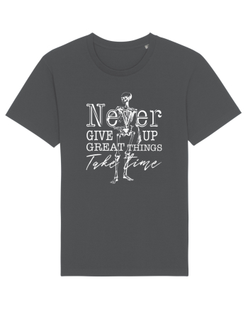 Never Give Up Anthracite