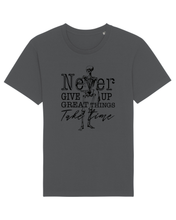 Never Give Up Anthracite