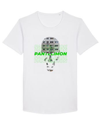 8 cartiere - PANTELIMON White