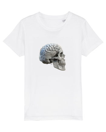 Craniu cu creier - skullbrain 01b White