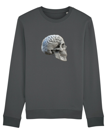 Craniu cu creier - skullbrain 01b Anthracite