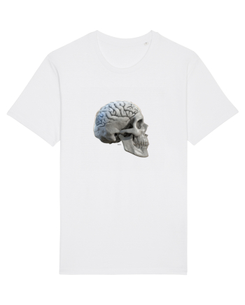 Craniu cu creier - skullbrain 01b White
