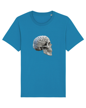 Craniu cu creier - skullbrain 01b Azur