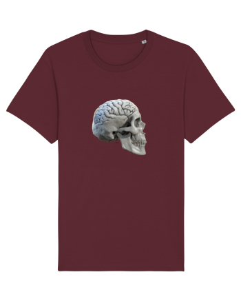 Craniu cu creier - skullbrain 01b Burgundy
