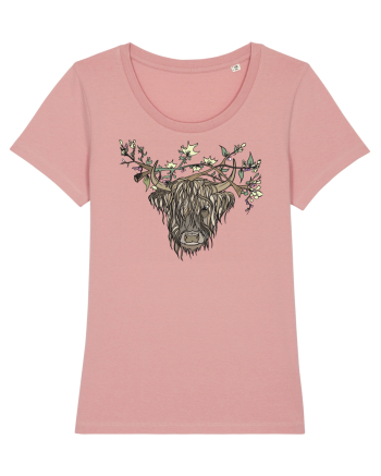 zimbru Canyon Pink